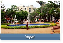 29590_yopal