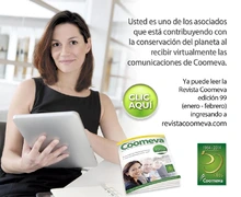 Emailing Revista99