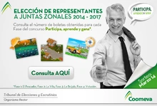 p_EleccionJuntasConsulta