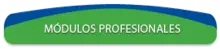 modulos_Profesionales