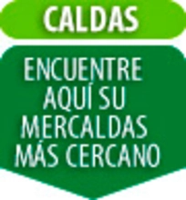 infoMercaldas